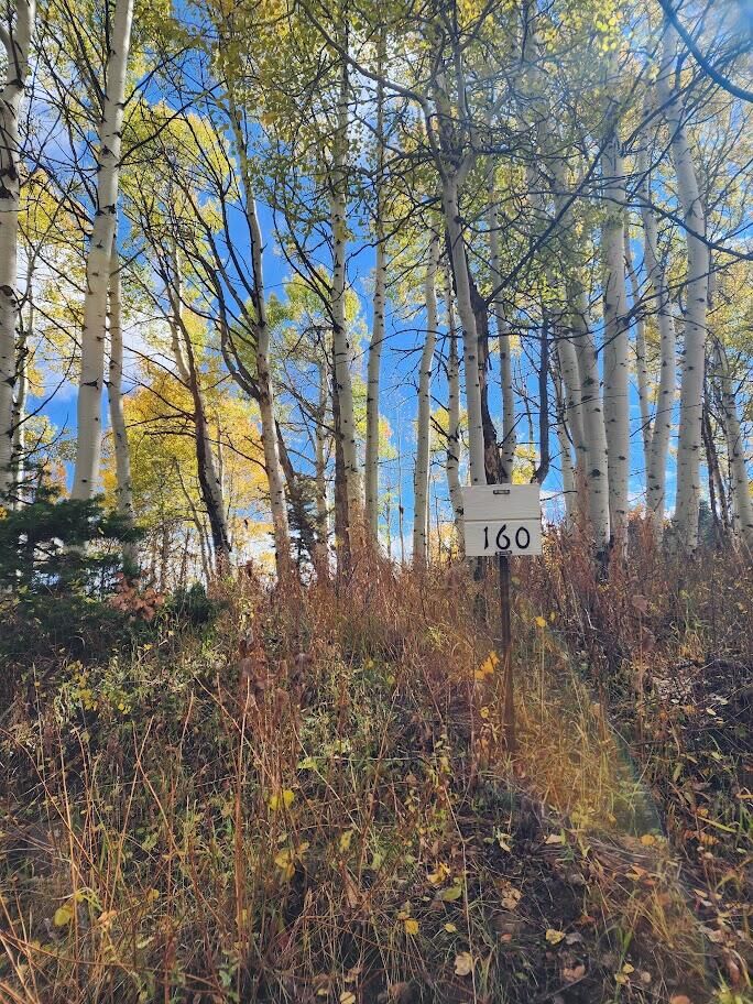 771 Porcupine Loop 160  Coalville UT 84017 photo