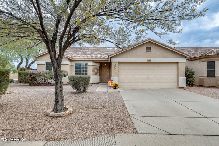 11351 E Covina Street  Mesa AZ 85207 photo
