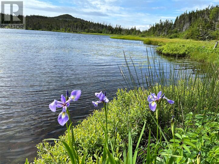 0 Farm Pond Road  Port Rexton NL A0C 0B0 photo