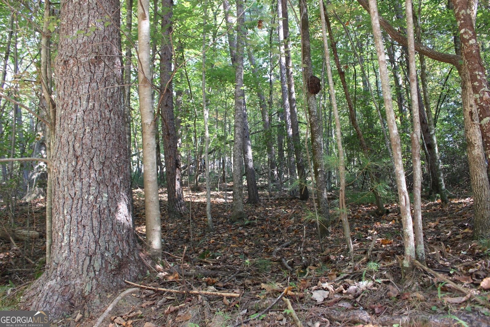 Property Photo: Lot 546 Satsuma North Court GA 30540