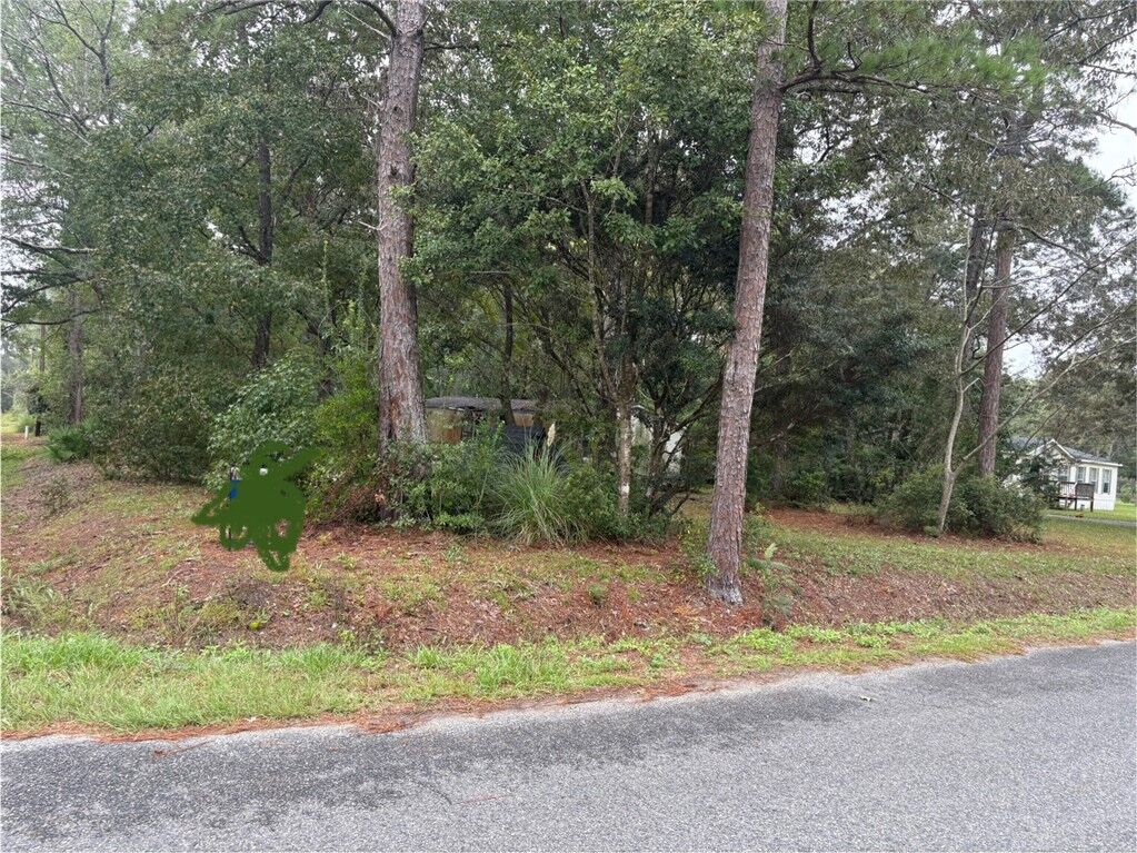 Property Photo:  101 Ritch Drive  GA 31525 