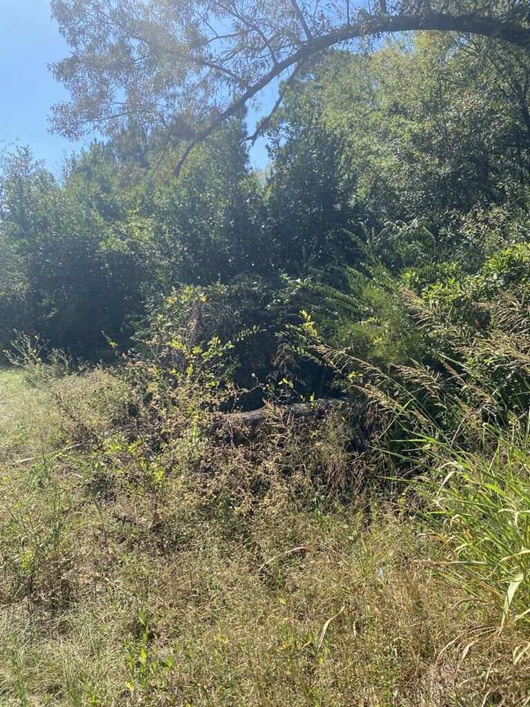 Property Photo:  Tbd South Fredonia Street  TX 75964 