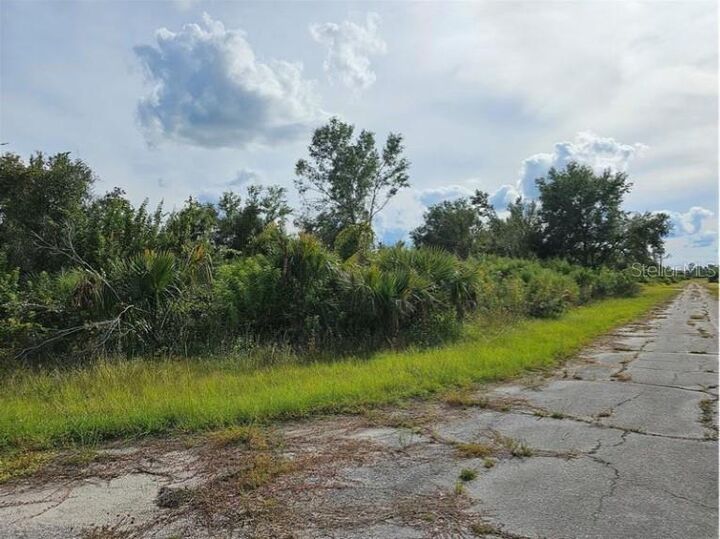 Property Photo: Lot 1 Hinshaw Avenue FL 34288