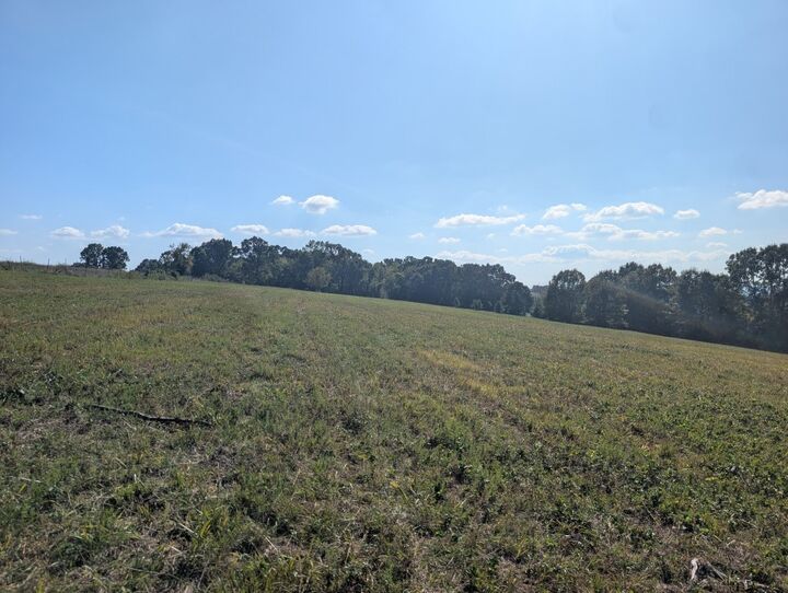 Property Photo:  Bunker Road  AR 72601 