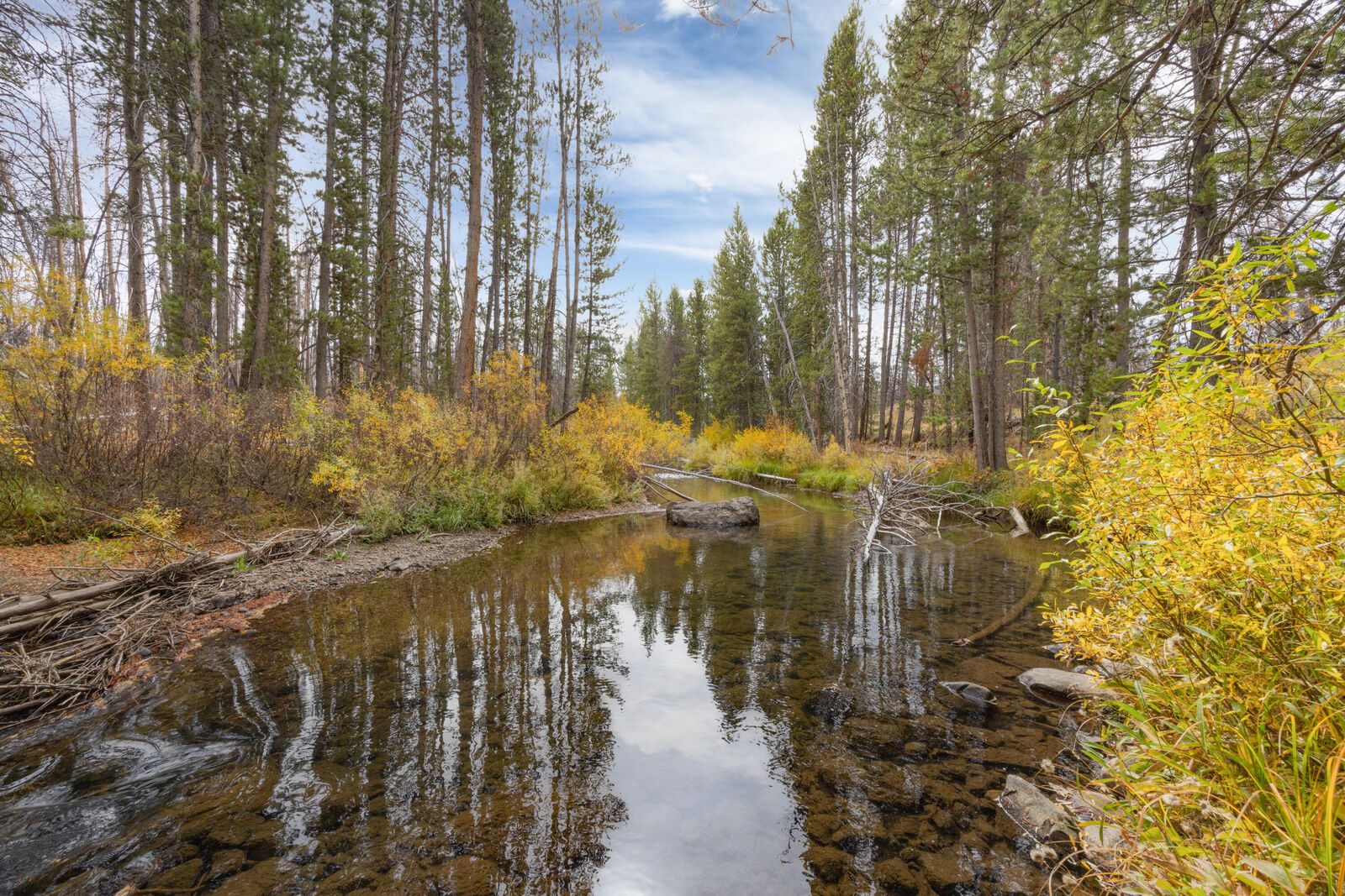 Property Photo: 773 Smiley Creek Rd ID 83340