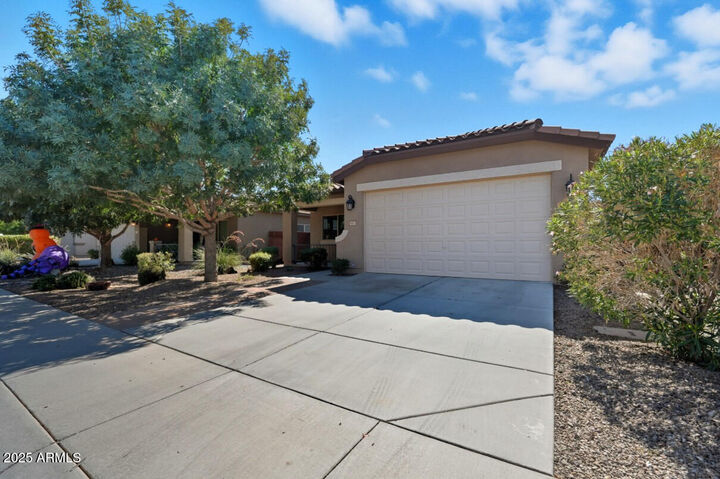 Property Photo:  1471 W Hoptree Avenue  AZ 85140