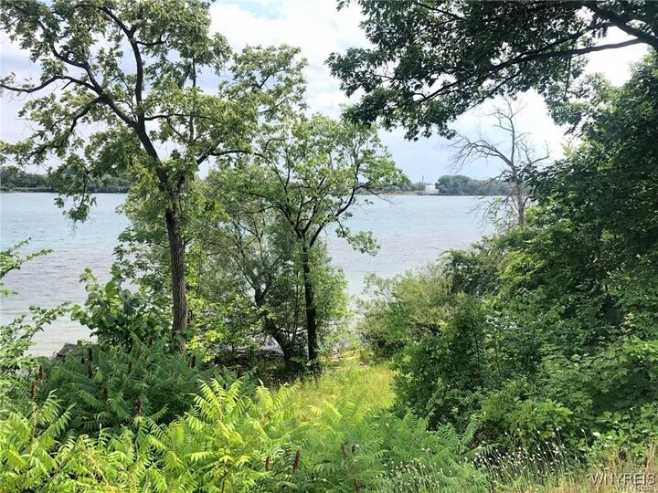 Property Photo: Vl East River NY 14072