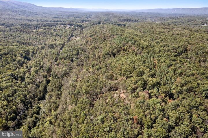 Property Photo:  Lot 1 Back Creek Rd  VA 22637 