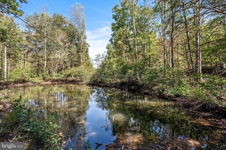 Property Photo: Lot 4 Back Creek Rd VA 22637
