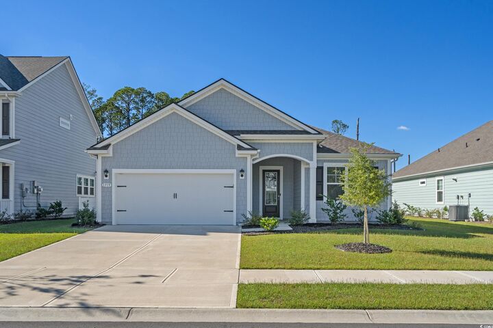 1519 Wood Stork Dr.  Conway SC 29526 photo