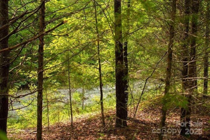 Property Photo: 145 Stroud Mountain Trail 85 NC 28139