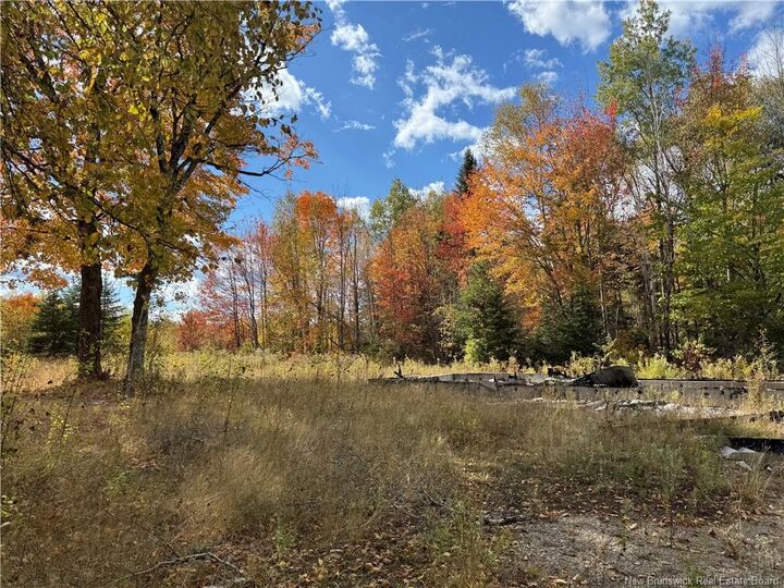 Photo de la propriété: 60 Bettsburg Road NB E9C 2C2