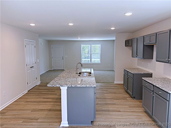 Property Photo: 224 Appaloosa Drive NC 28390