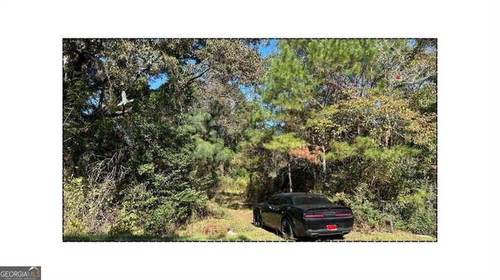 Property Photo:  2581 Old Riggs Mill Road  GA 30458