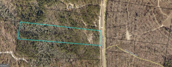 0 Bastonville Road  Gibson GA 30810 photo