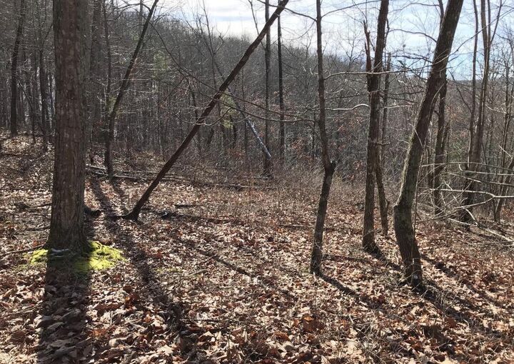 Property Photo:  0 Chestnut Oak Drive  TN 37327 