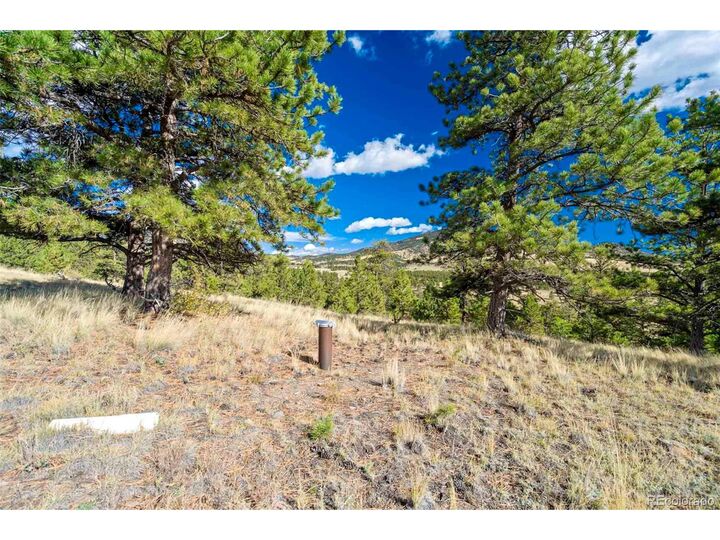 Property Photo:  455 County Road 132  CO 80820 