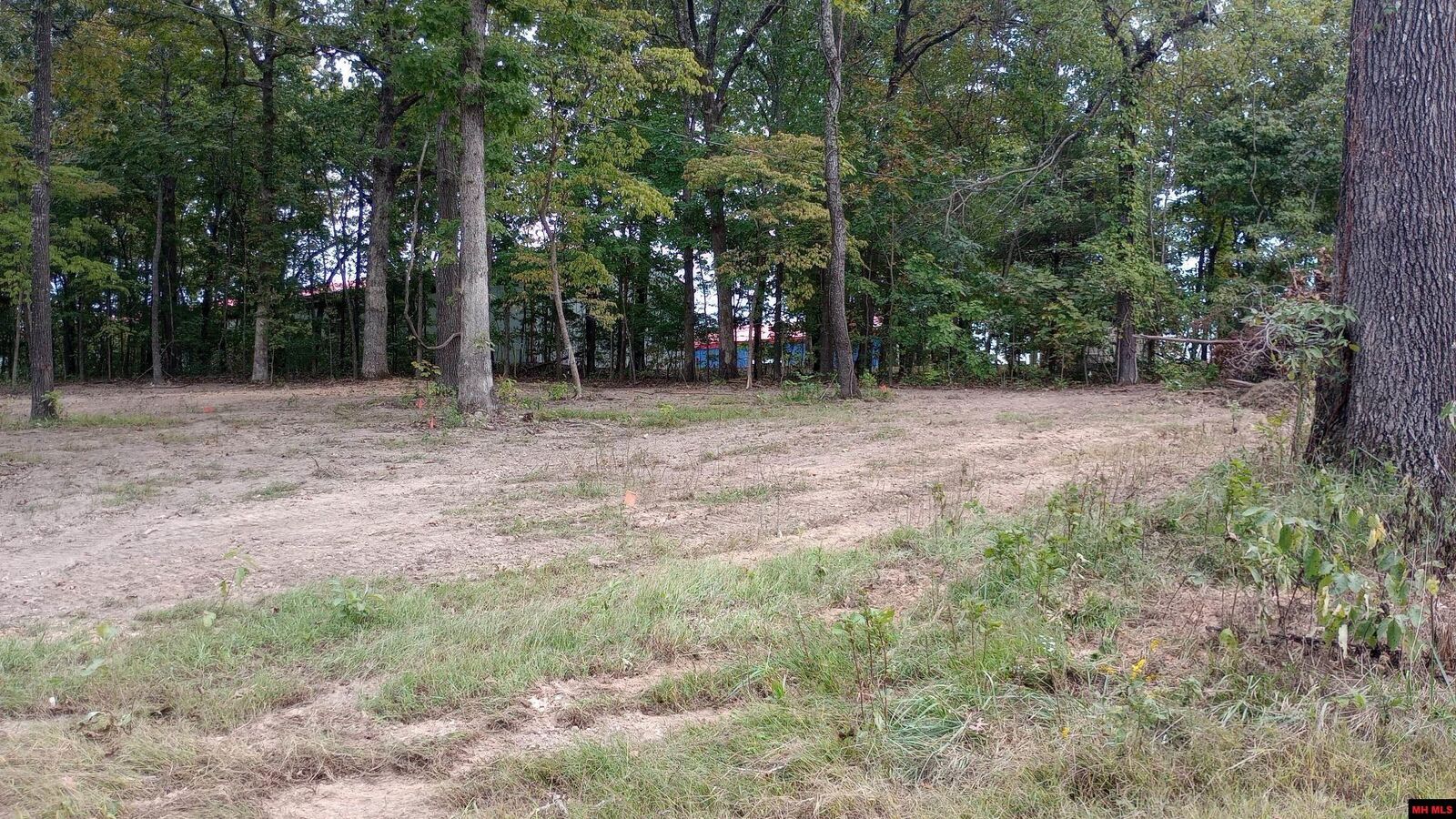 Property Photo:  Lots 3 &Amp 4 Cr 992  AR 72653 