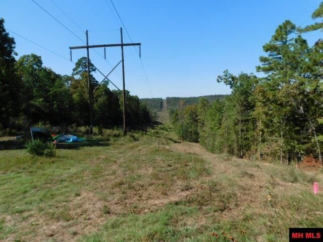 Property Photo:  009-02955-001 Owens Drive  AR 72653 