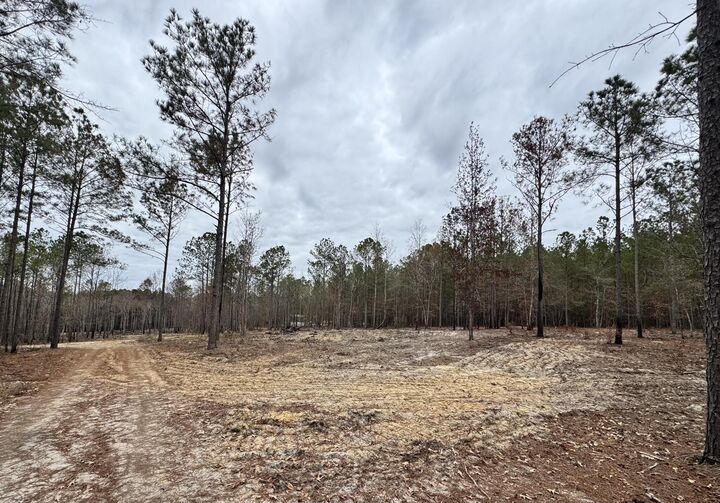 Property Photo:  3479 Bastonville Road  GA 30810 