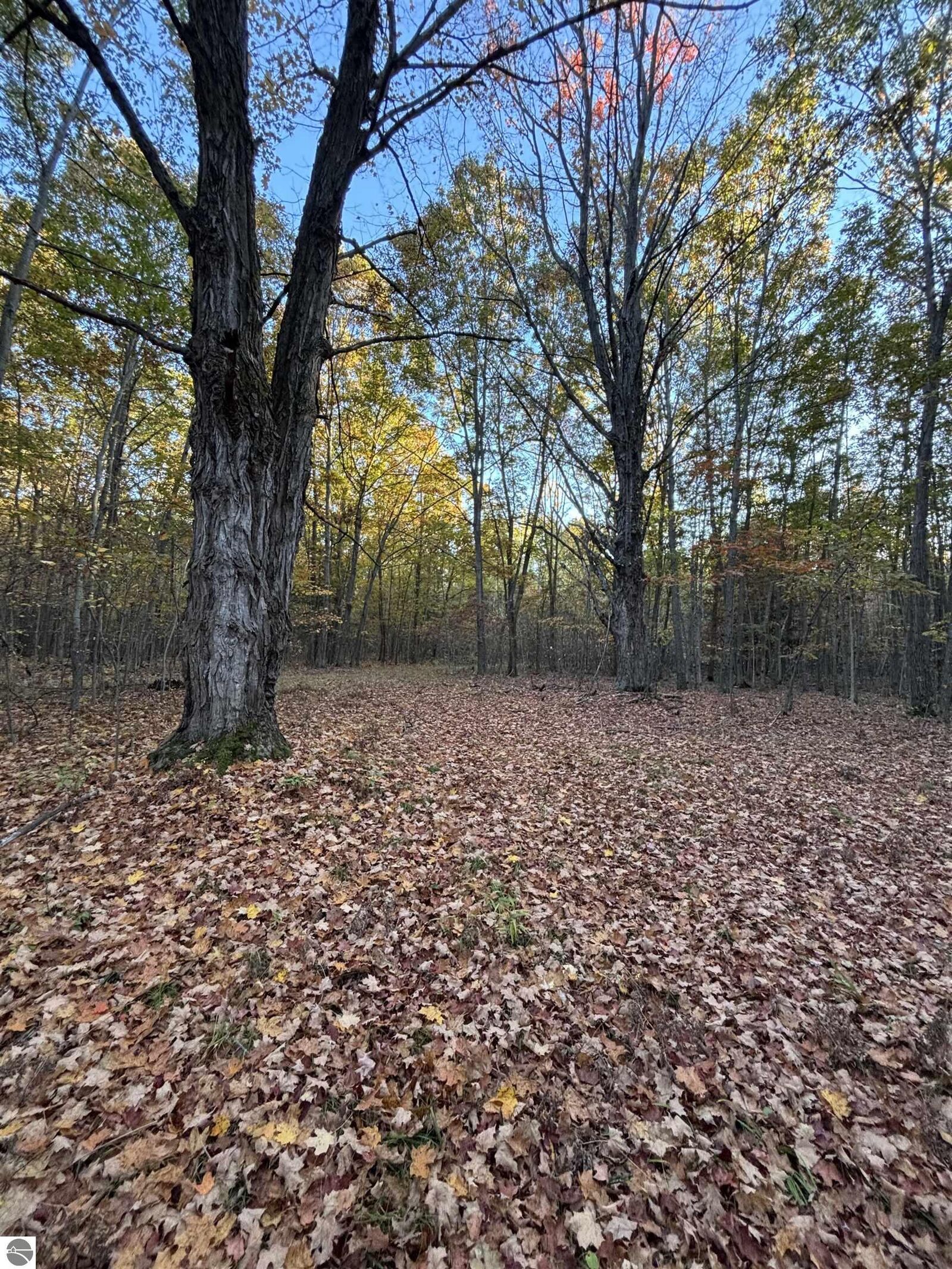 Property Photo:  10000 E Pickard Road  MI 48858 