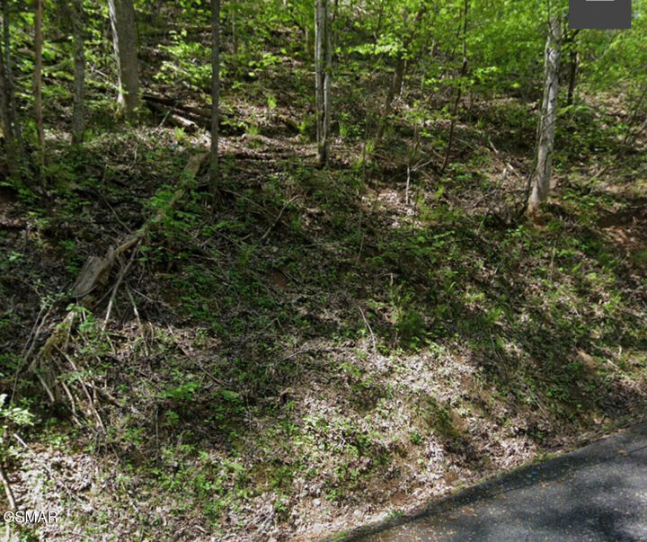 Property Photo: Lot 331 Ridgefield Drive TN 37876