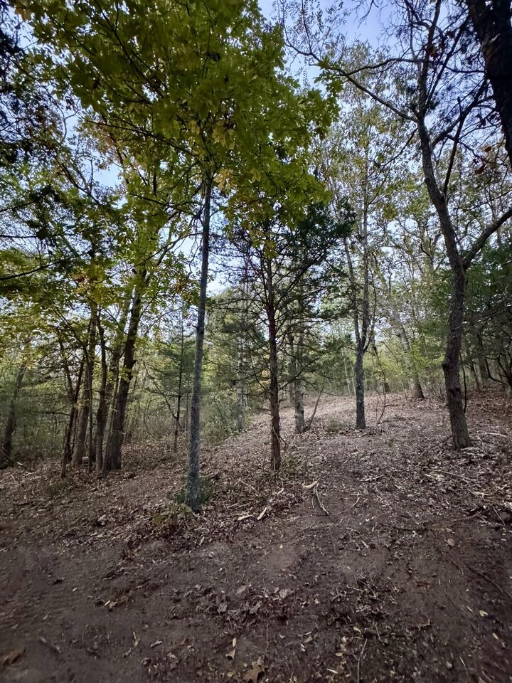 Property Photo:  000 County Road 110  MO 65704 