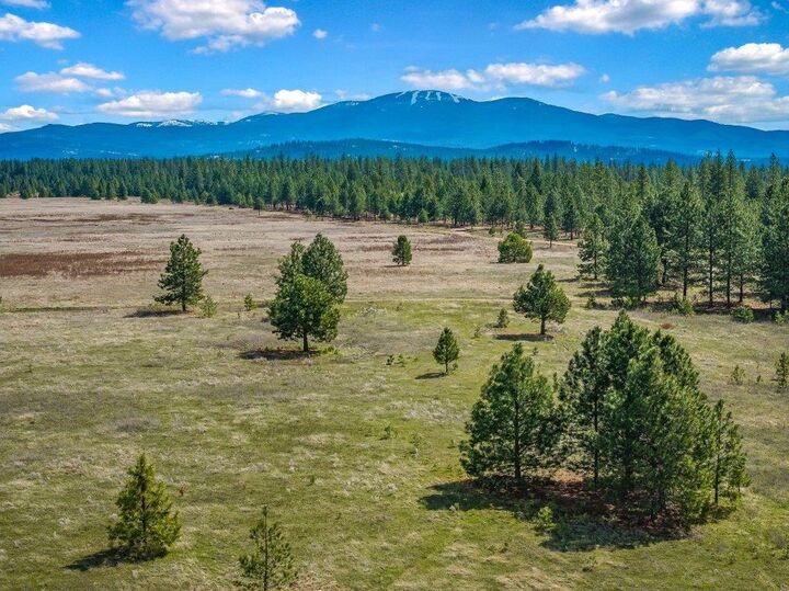 Property Photo:  Nka W Findley Ln Lot P  WA 99006 
