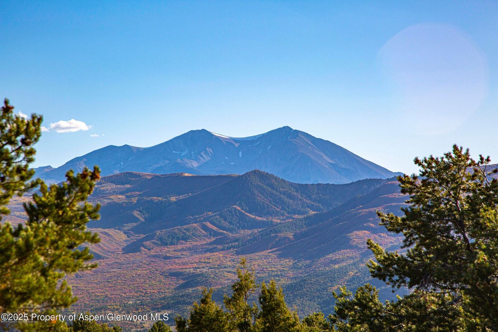 Property Photo:  539 Sunrise Lane Lane  CO 81623 