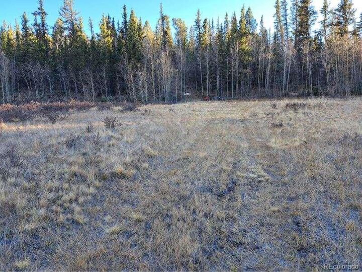 Property Photo: 0 Haida Ln CO 80432