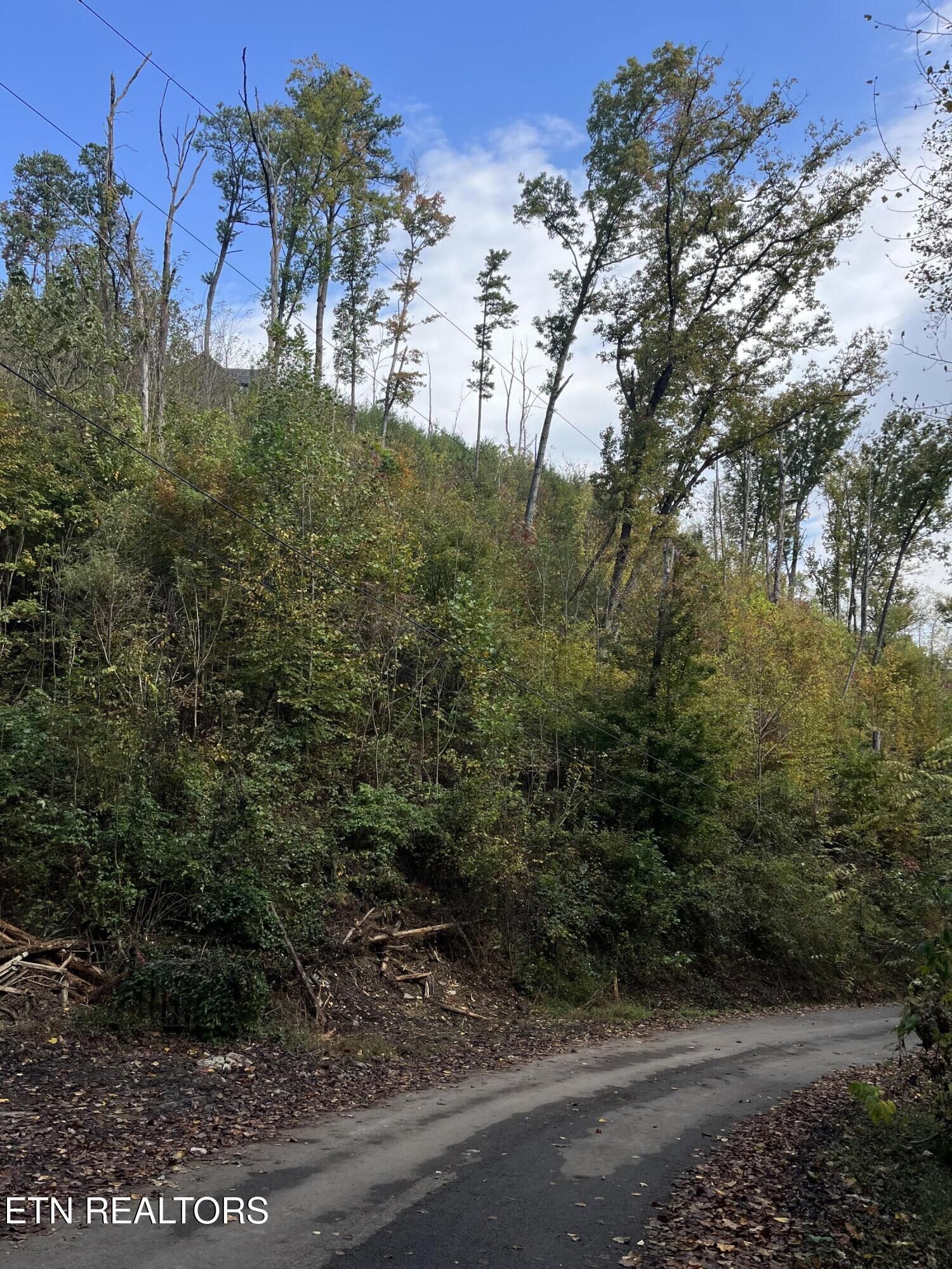 Property Photo:  Lot 527 Deep Hollow Rd  TN 37738 