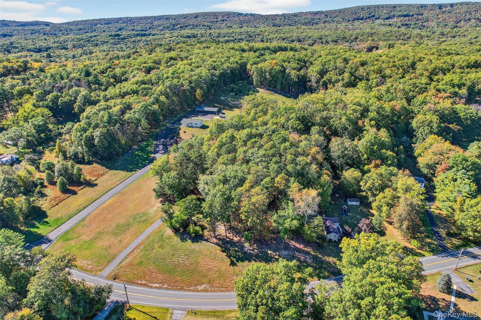 Property Photo: 335 Burlingham Road NY 12721