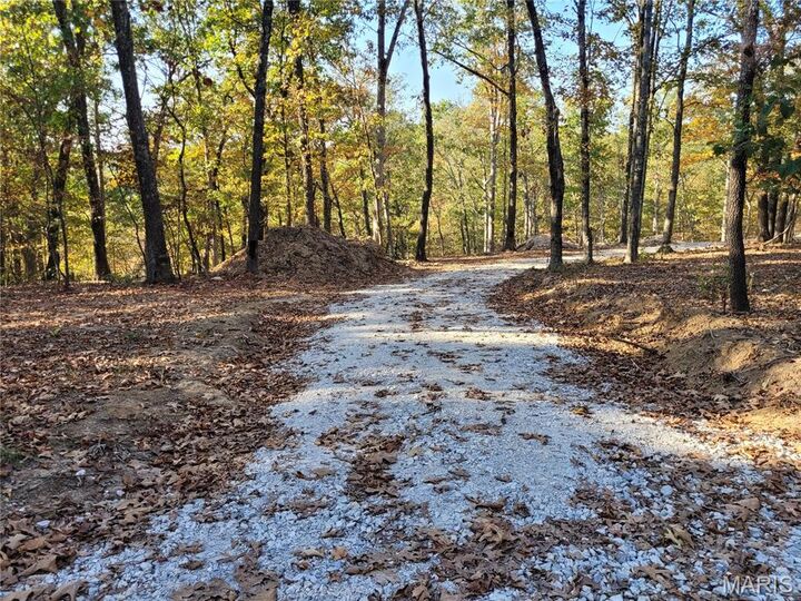 161 Steeple Point Drive  Defiance MO 63341 photo