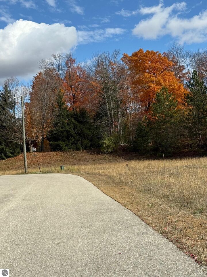 Property Photo: 9678 Chippewa Drive MI 49659