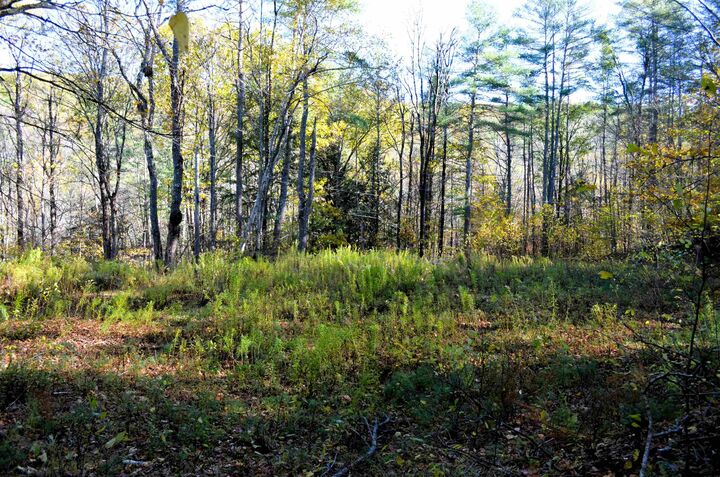 Property Photo:  29&Amp31 White Brook Road  NH 03448