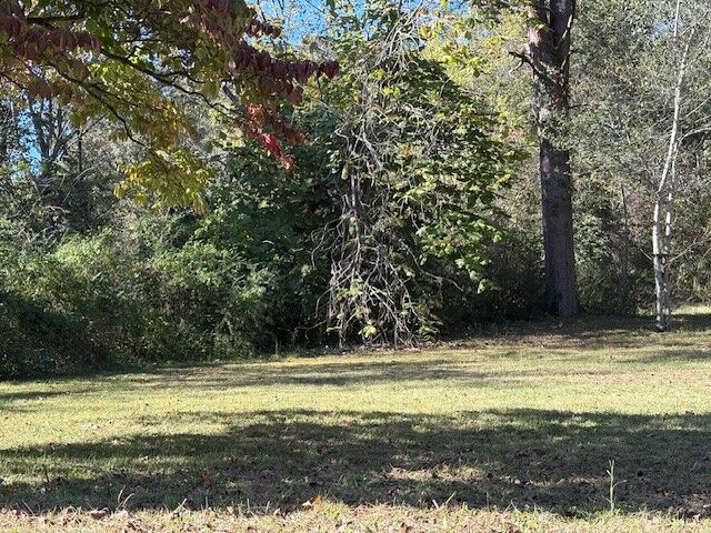 Property Photo: 713 Newman Avenue AR 72601