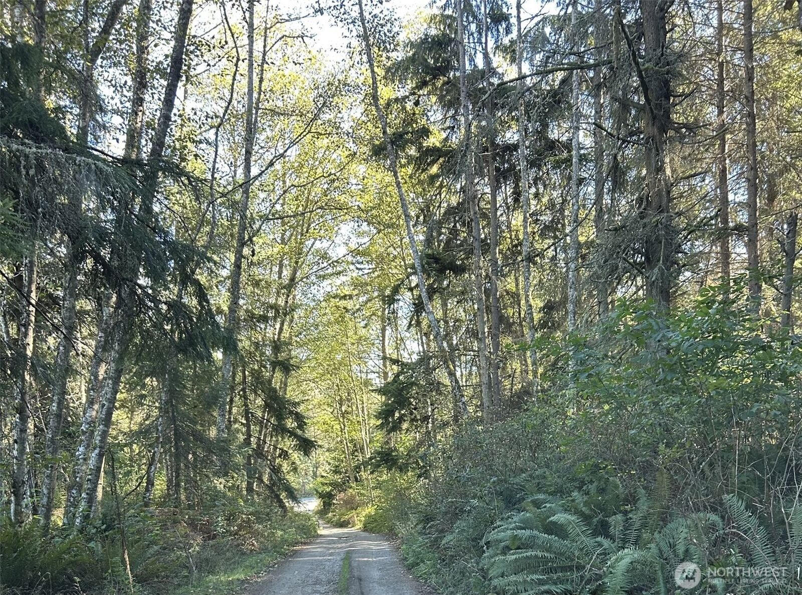 Property Photo: 0 Forest View Lane WA 98253