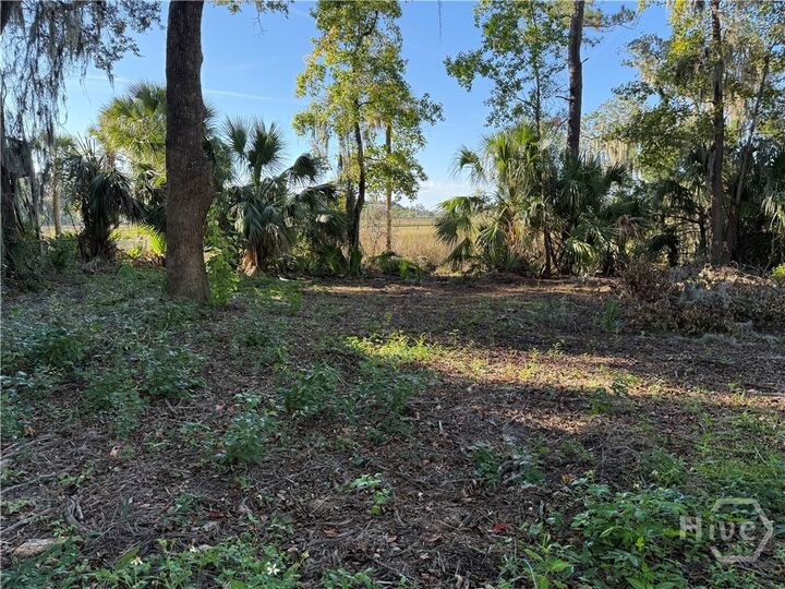 Property Photo:  209 Battery Way  GA 31410