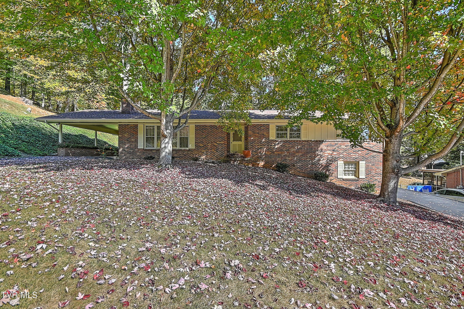 Property Photo: 3410 Amoyee Drive TN 37601