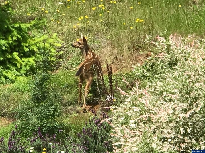 Property Photo:  7465 Kings Valley Hwy  OR 97361