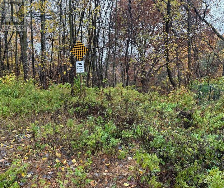 Property Photo:  488 Duke Street West  ON P1B 6G1 