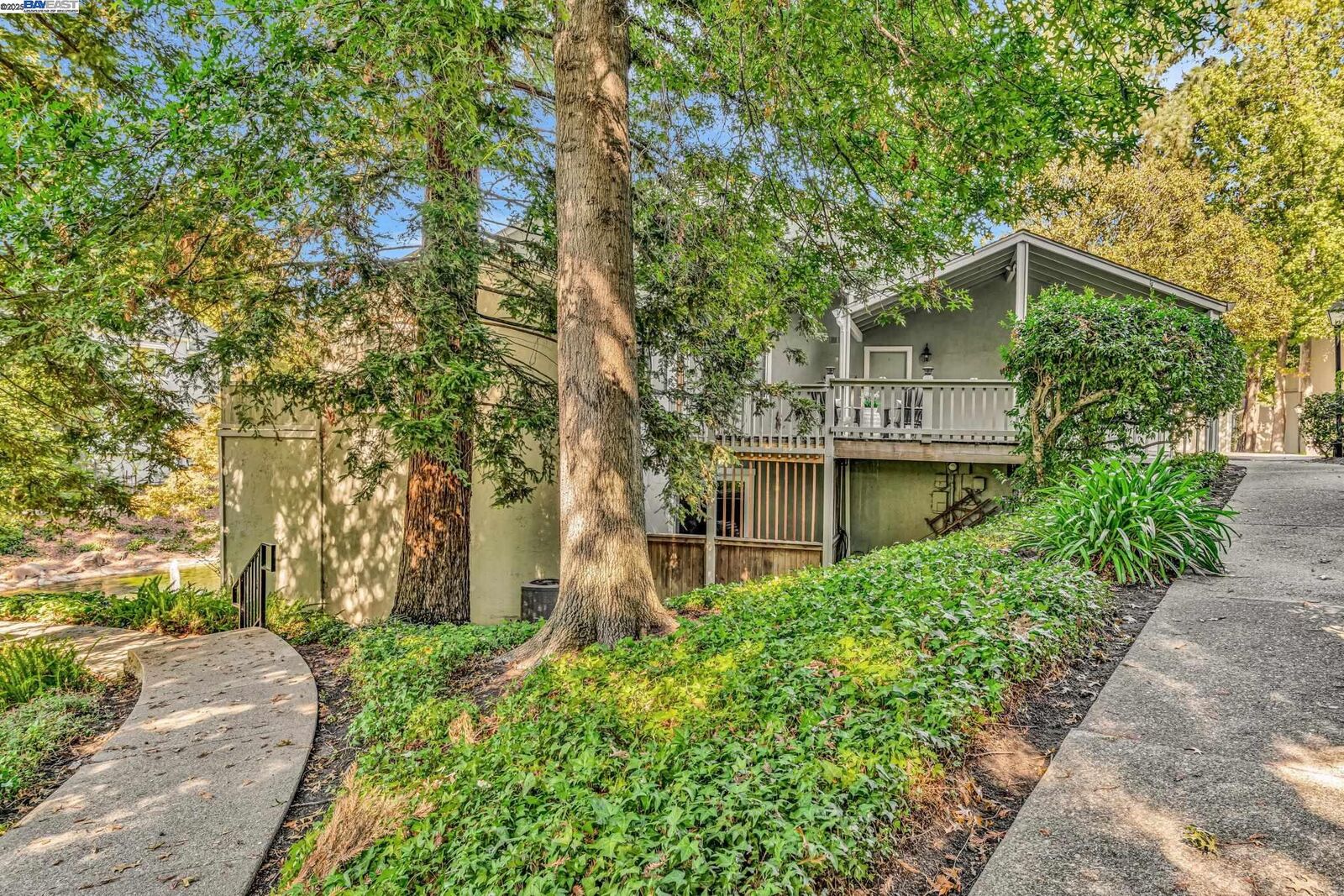 Property Photo: 394 Camelback Rd CA 94523