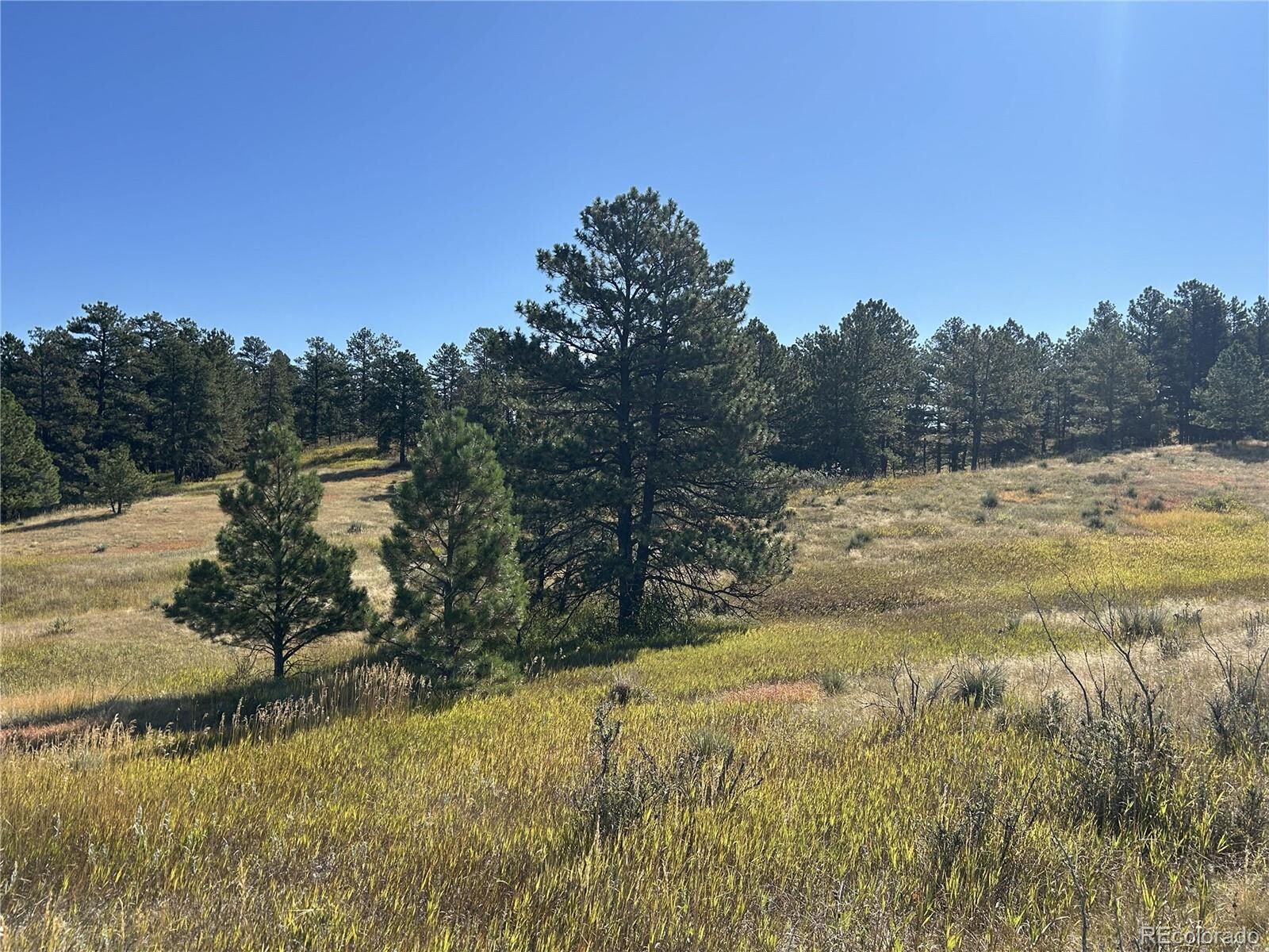 Property Photo:  10856 Tomahawk Rd  CO 80138 