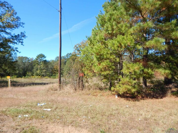 Property Photo:  Tbd 2 Acres Hwy 155  TX 75644 