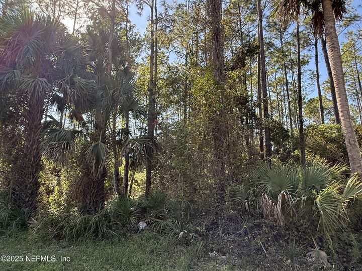 0 Ct Rd 325  Bunnell FL 32110 photo