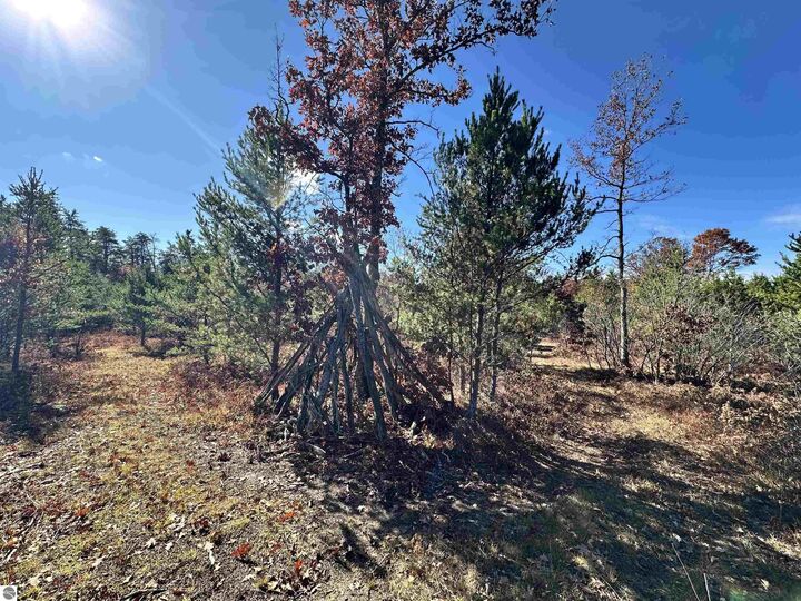 Property Photo: 11664 Revord Road MI 49633