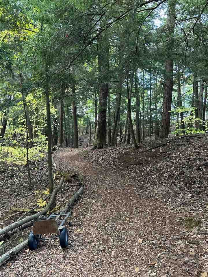 Property Photo: Tbd Chippewa MI 49740-9999