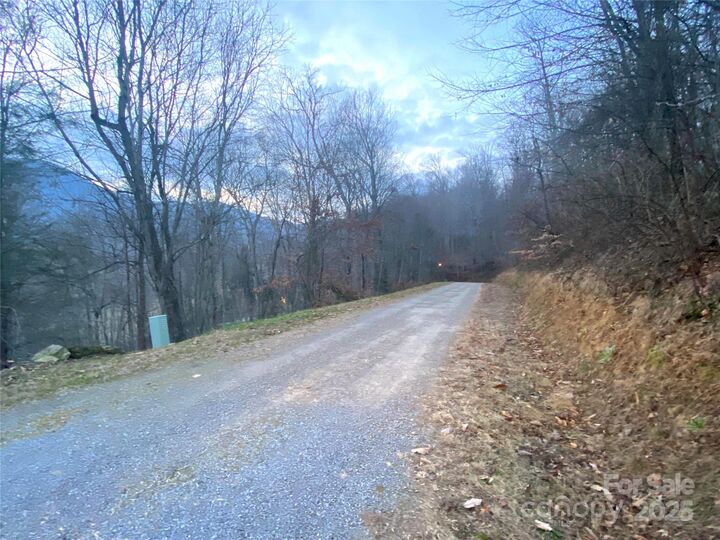 Property Photo:  0 Asa Trail  NC 28785 