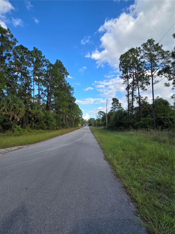 Property Photo:  1137 Rambler Street  FL 33974 