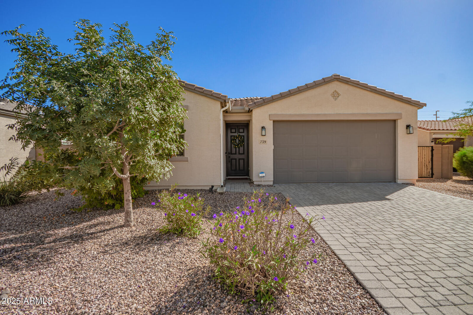 Property Photo:  739 S 9th Place  AZ 85128 